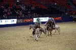 Quadrille - 00161